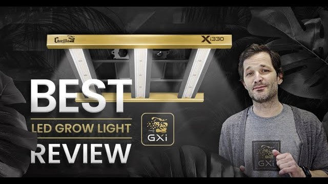 best led grow light