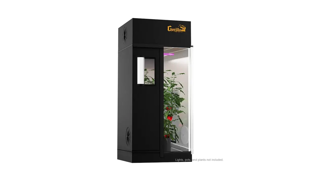 How Many Plants Can Fit in a 3x3 Grow Tent?