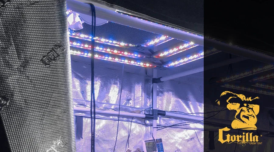 How Far Should LED Grow Lights Be From Plants: Finding the Perfect Balance