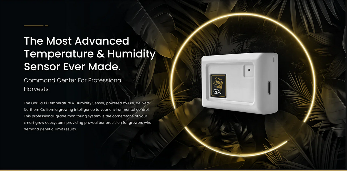 humidity and tempature sensor