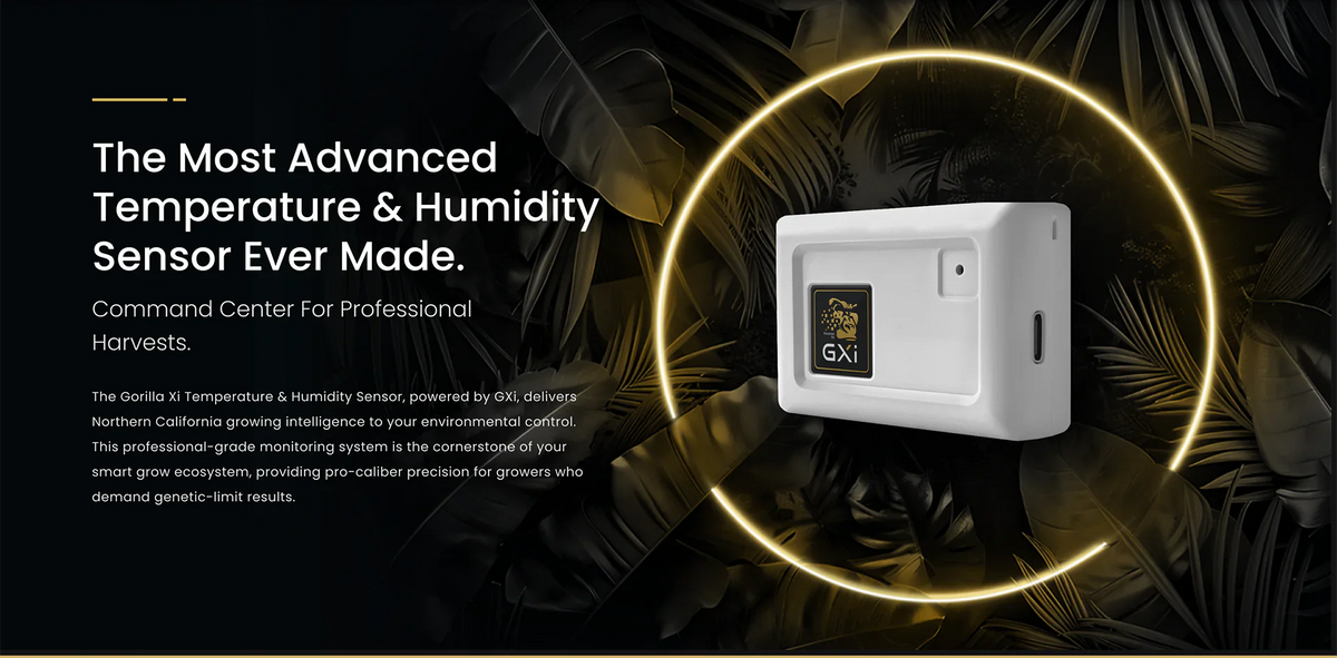 tempature and humidity sensor