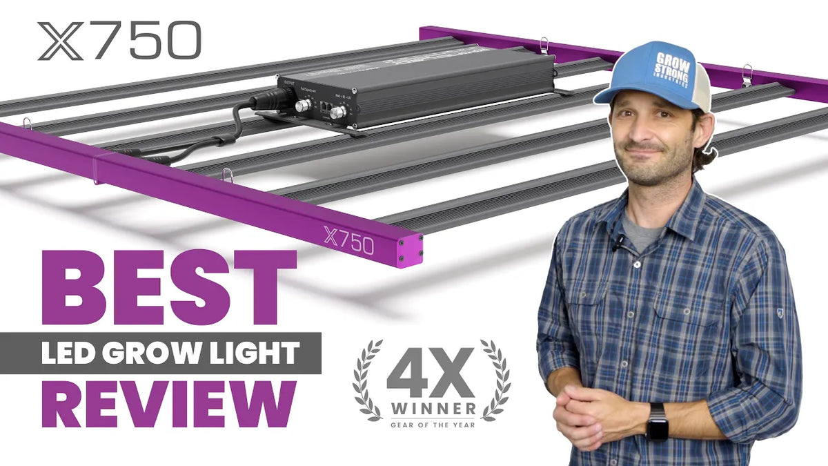Grow Tent with Lights: How to Set Up Your Indoor Garden for Success