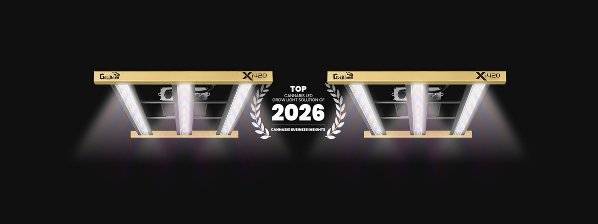 Gorilla Grow Light: The Best LED Grow Light Solution for Cannabis in 2026