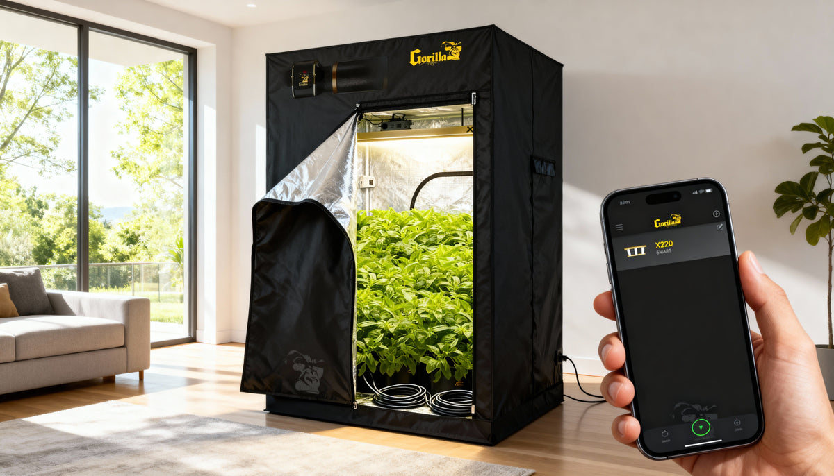 Maintaining Optimal Conditions in Growing Tents