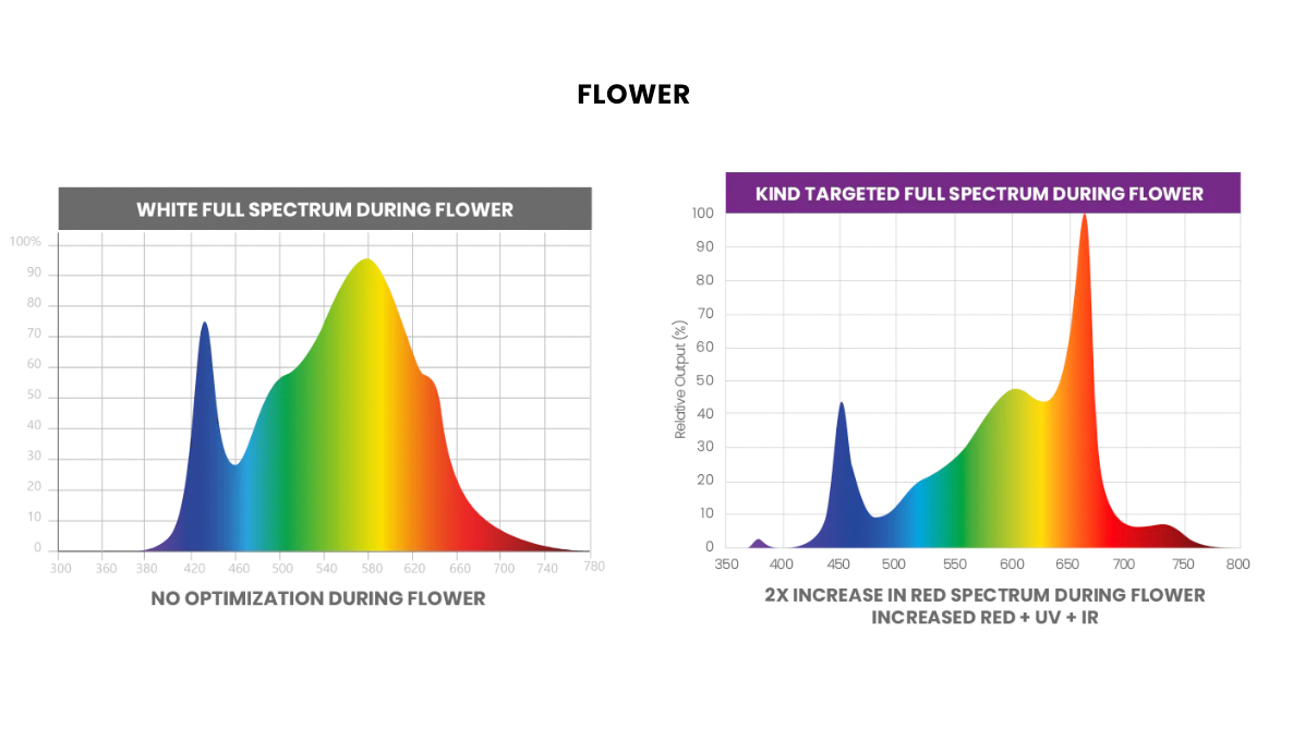 Led Grow Light Distance from Plant