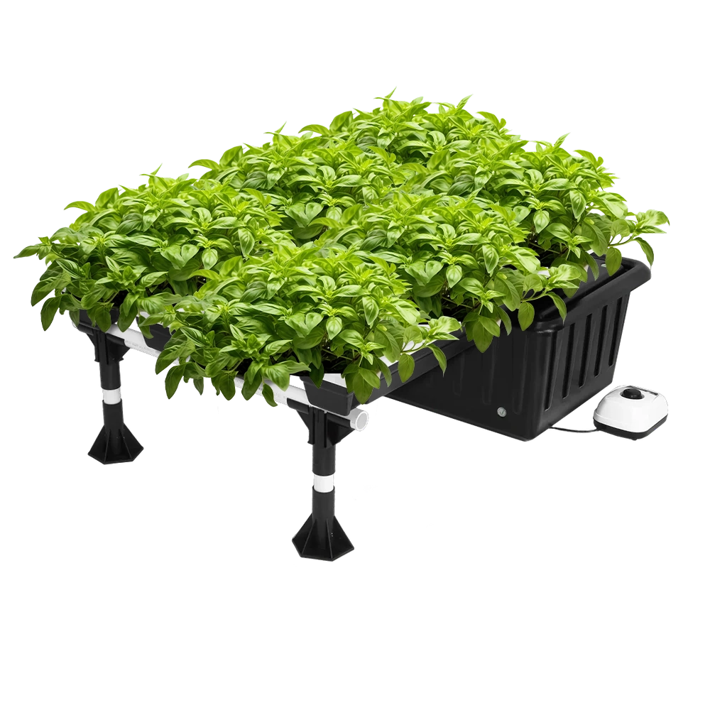 Ebb and Flow Hydroponic System – 20-Site