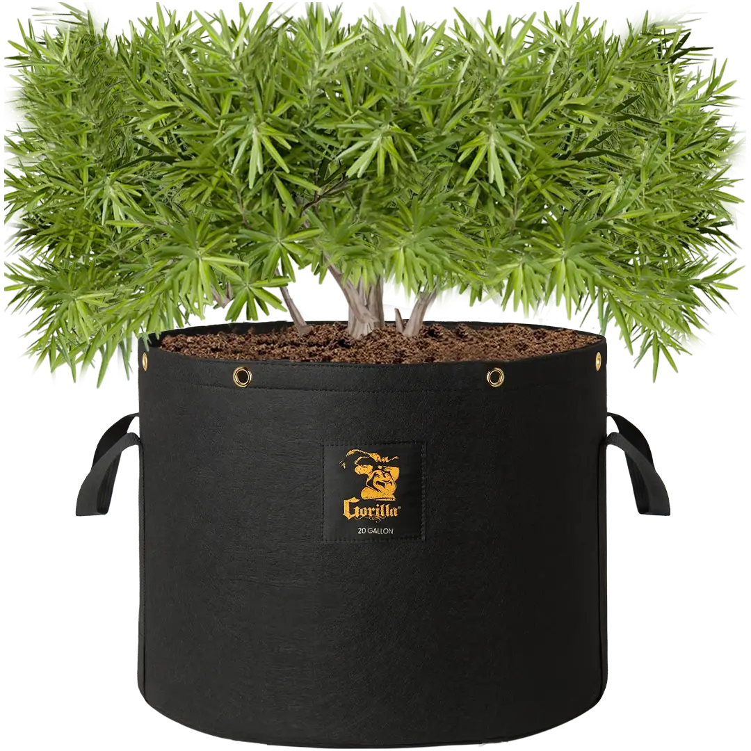 Gorilla 20 Gallon Grow Bags (4 Pack)