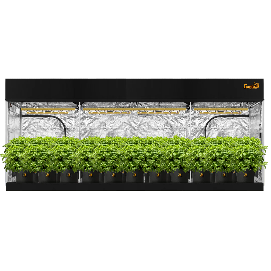 gorilla grow tent