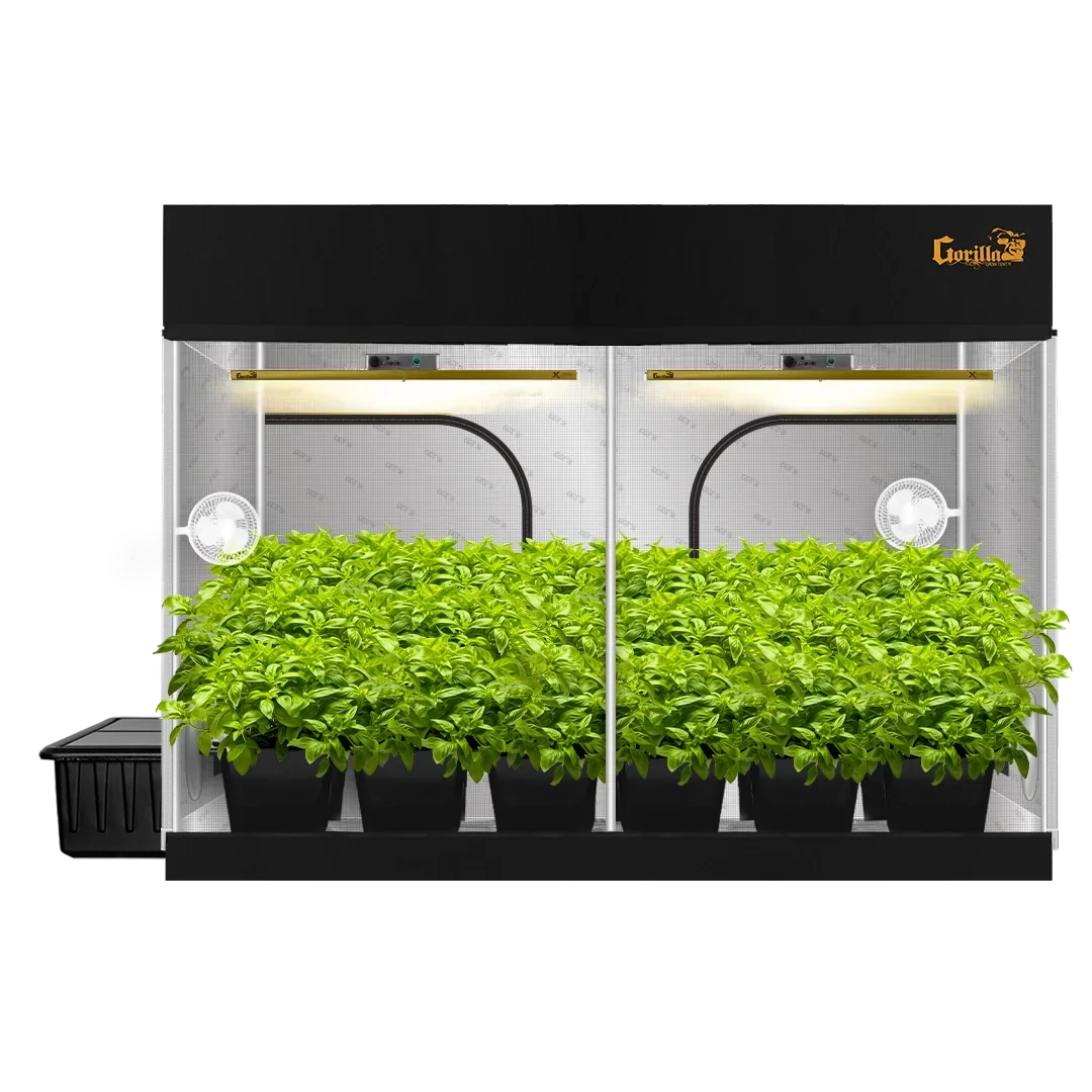 grow tent