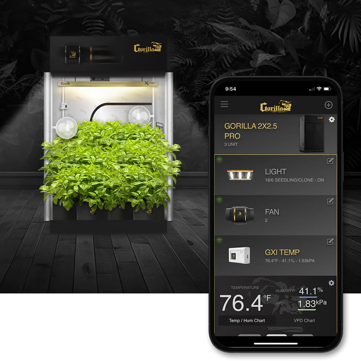 Indoor Gardening Trends 2025