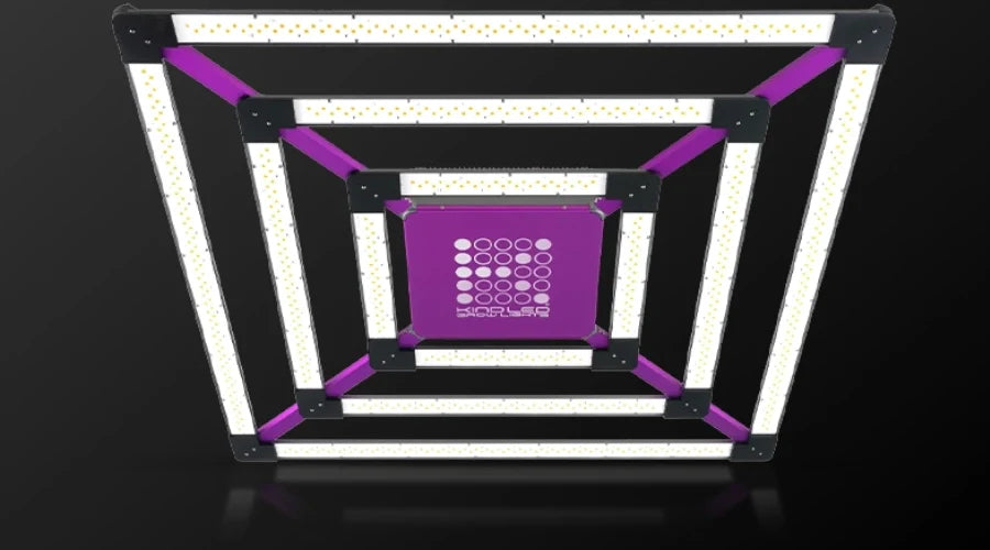 Best LED Grow Light 2024: A Complete Guide with Kind LED Grow Lights