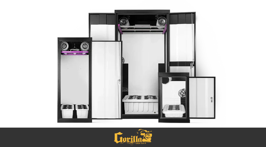 Grow Lights for Hydroponics