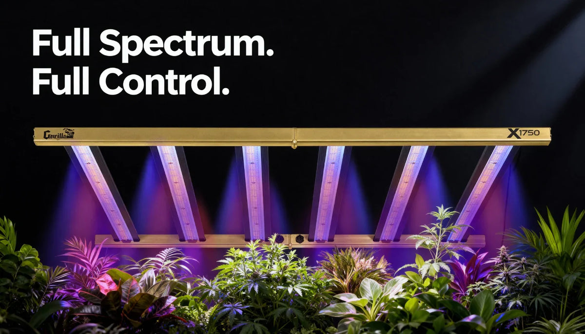 The Most Efficient LED Grow Lights