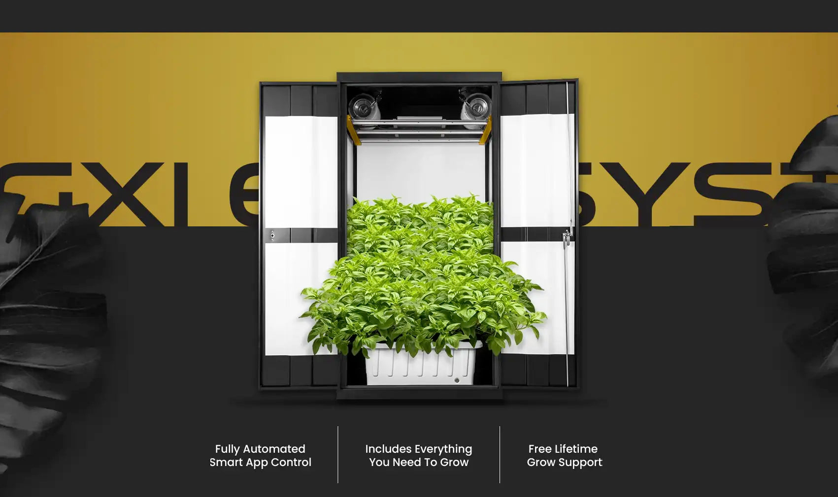 hydroponics and grow lights