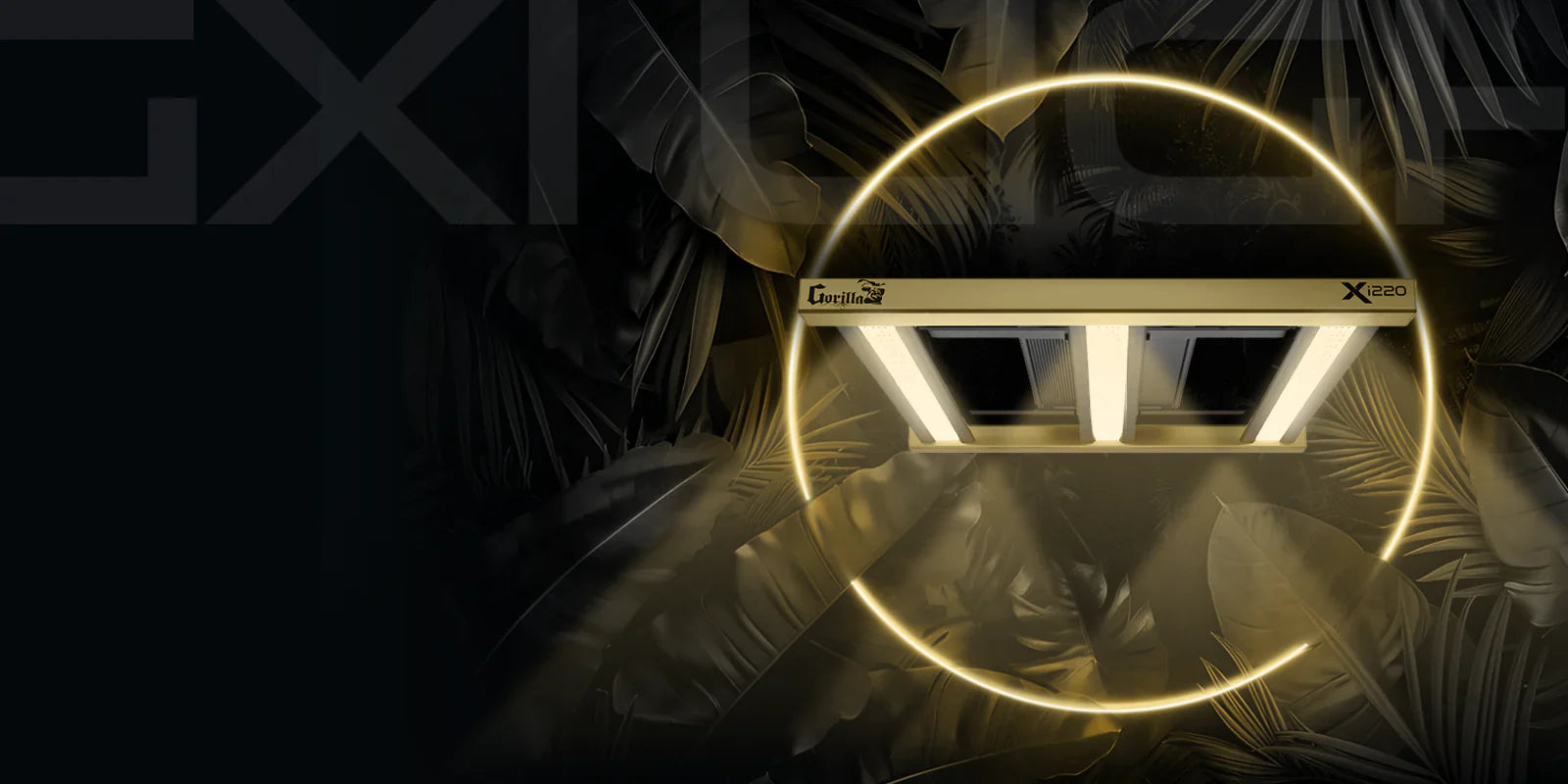 gorilla light