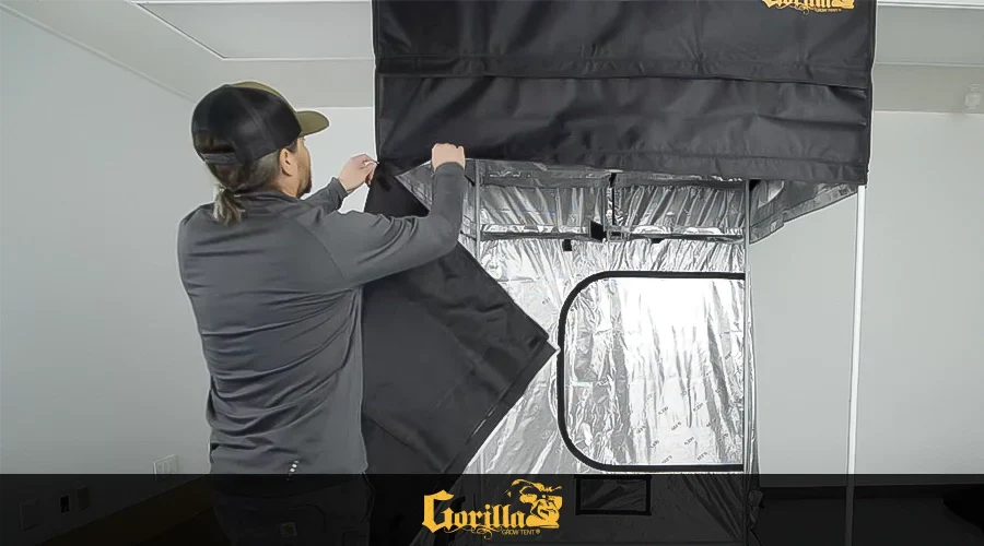 How to Set Up Gorilla Grow Tent