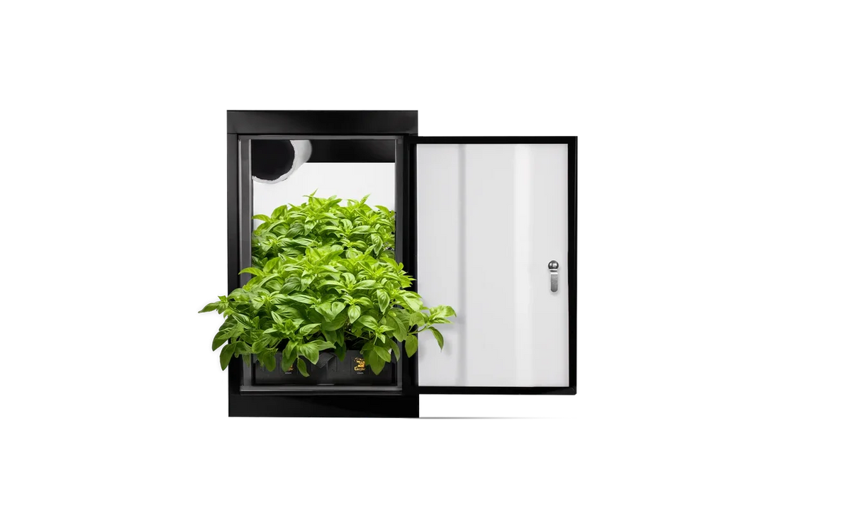 Complete Guide to Indoor Grow Rooms