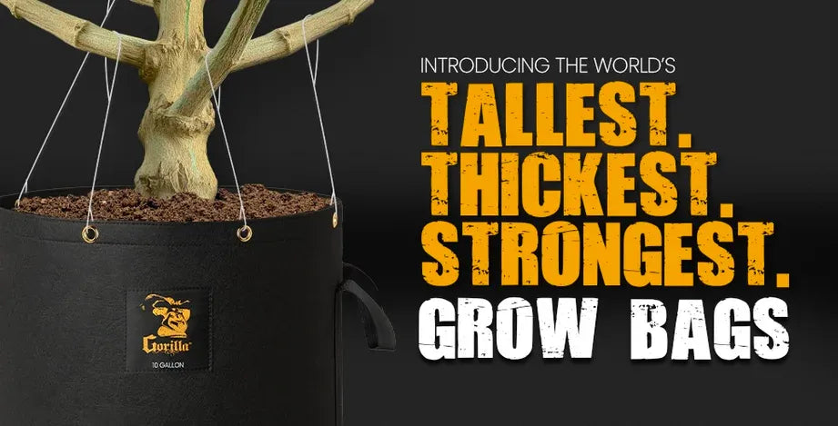 All-in-One Grow Bag: Convenient Solution for Gardening