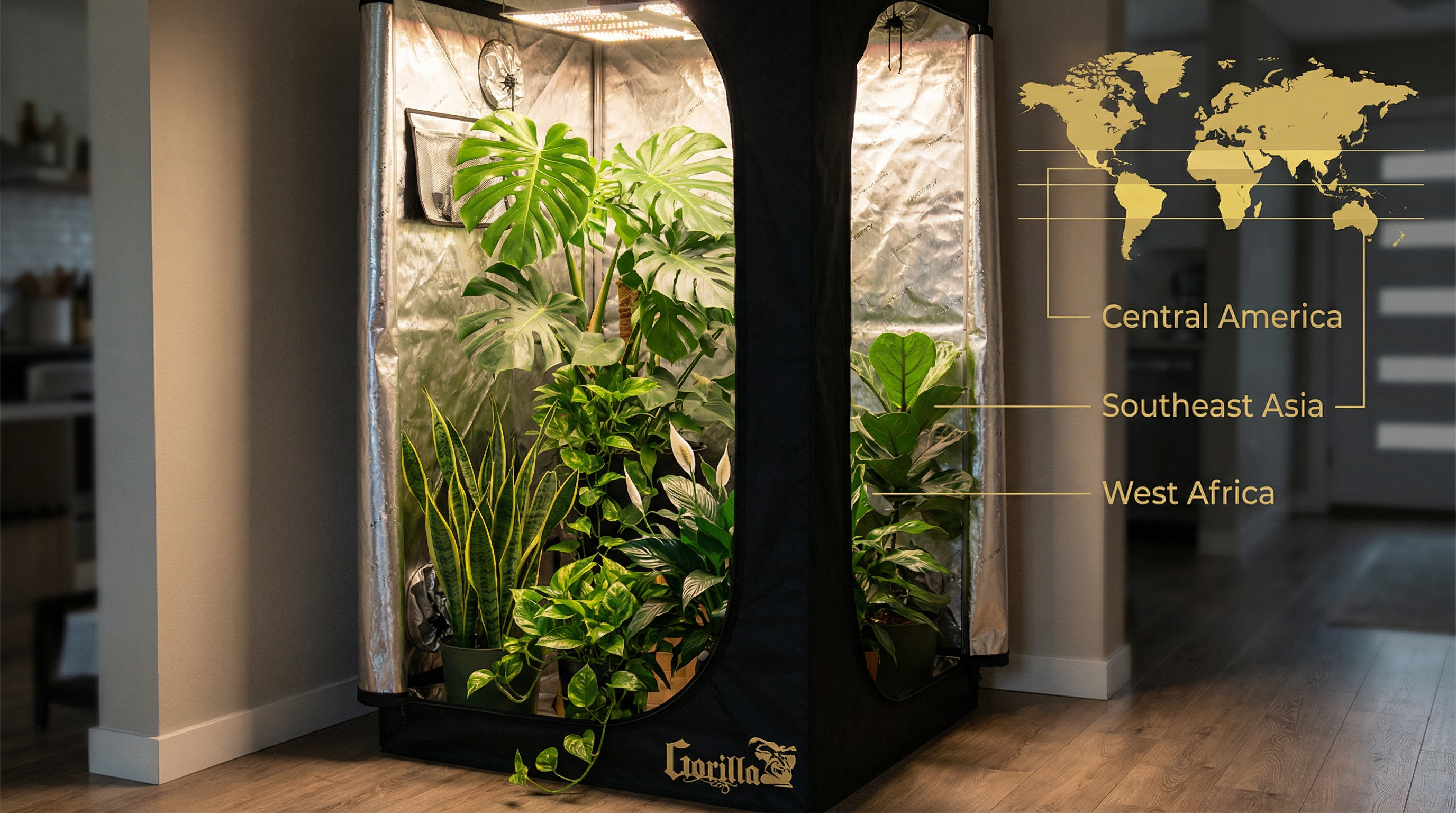Tropical houseplants (monstera, snake plant, fiddle leaf fig, pothos) inside a Gorilla Grow Tent with world map showing native origins