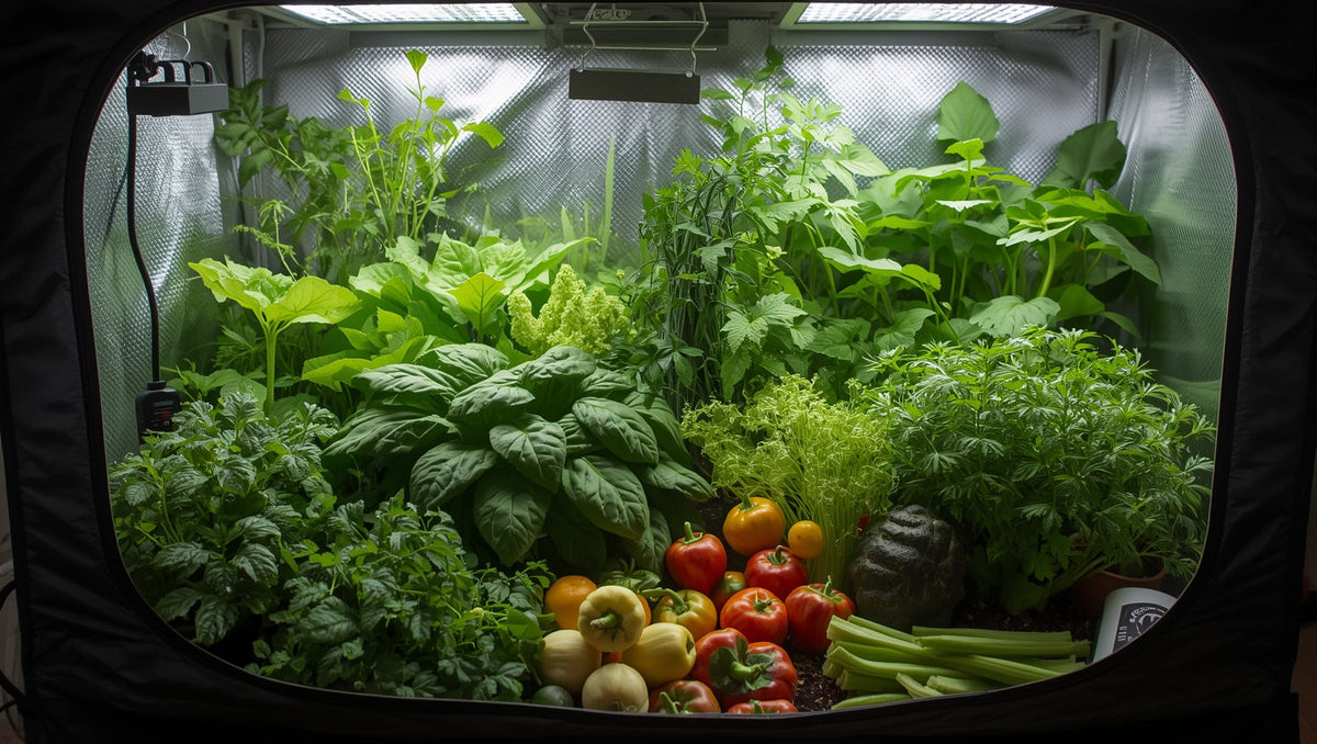 Choosing the Right Plants for Indoor Grow Tents