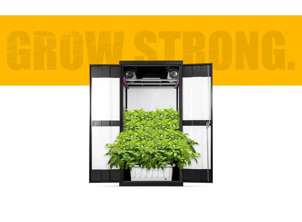 A smart grow box is a self-contained, automated gardening system that provides an ideal environment for plant growth.