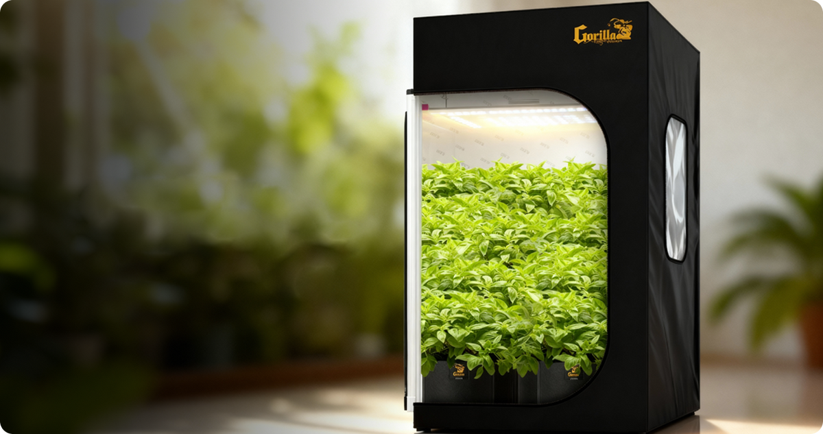 Indoor Greenhouse