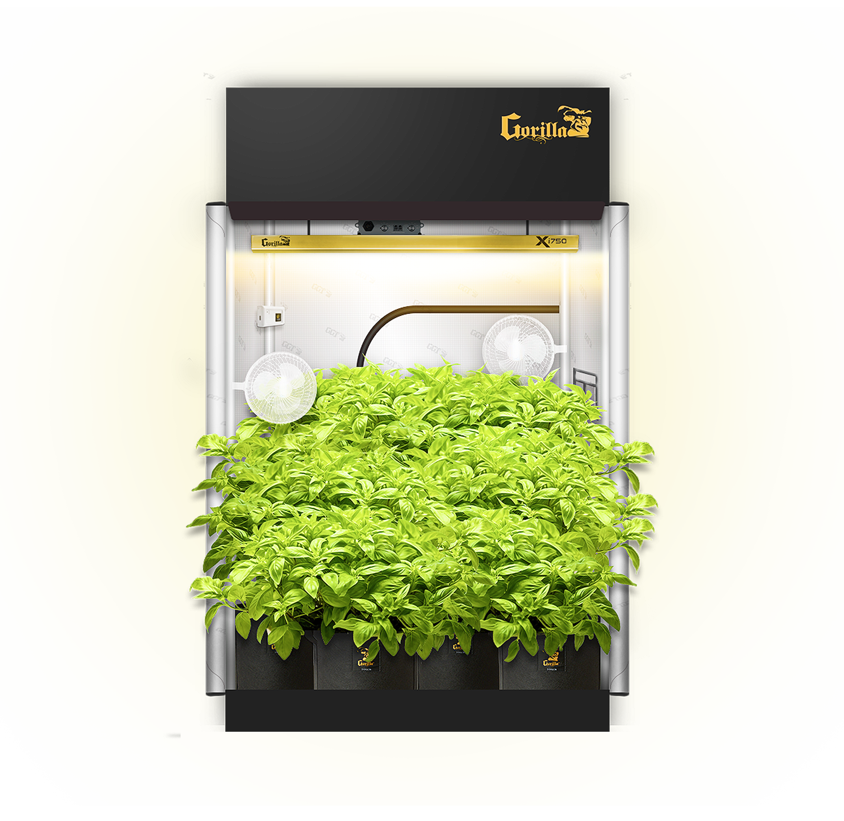 GORILLA GROW ROOMS