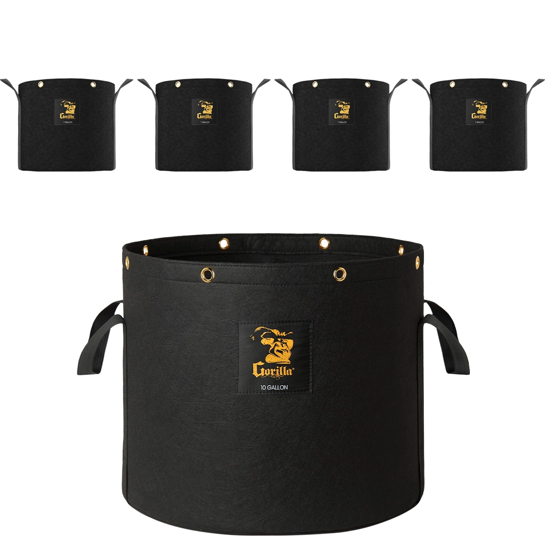 Promote deeper roots and air pruning with Gorilla 10 Gallon Grow Bags – ideal for spacious plant growth.

