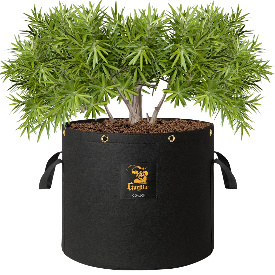 Gorilla 10 Gallon Grow Bags – ultra-durable, reusable fabric pots for healthier plants and bigger crops.
