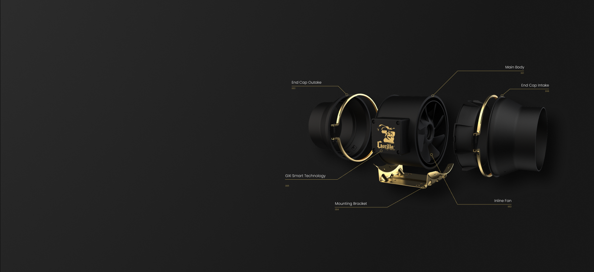Section 8 Background