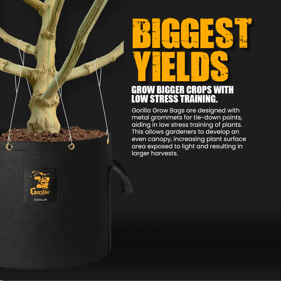 Gorilla 20 Gallon Grow Bags  (4 Pack)