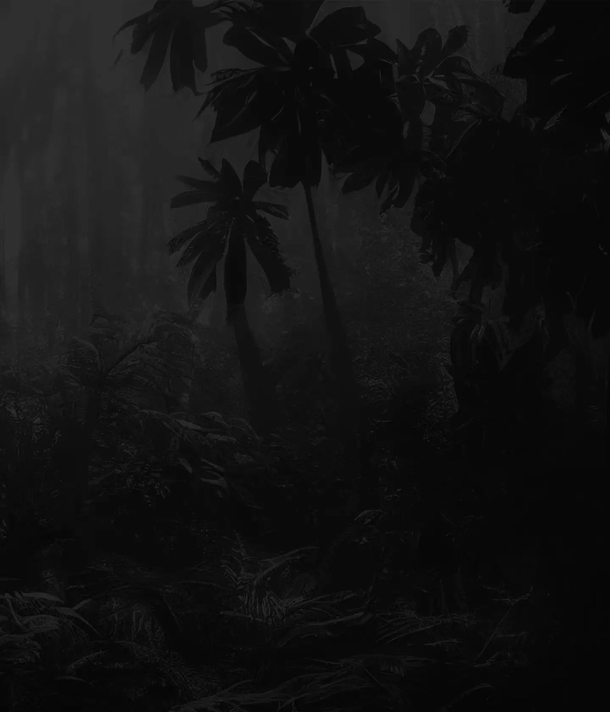 Section 9 Background