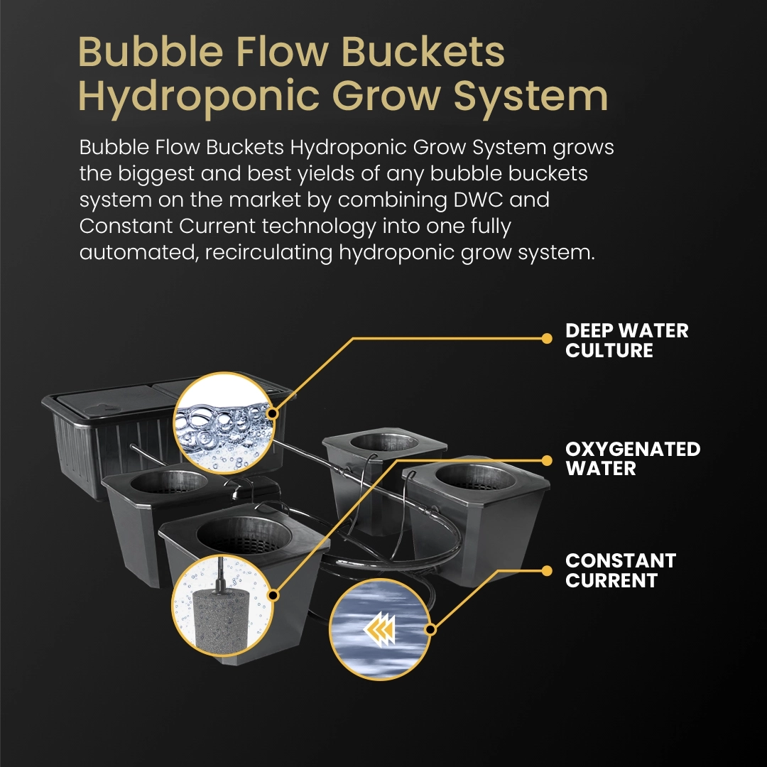 4x4 Gorilla Grow Room - HYDROPONIC - Bubble Flow Buckets