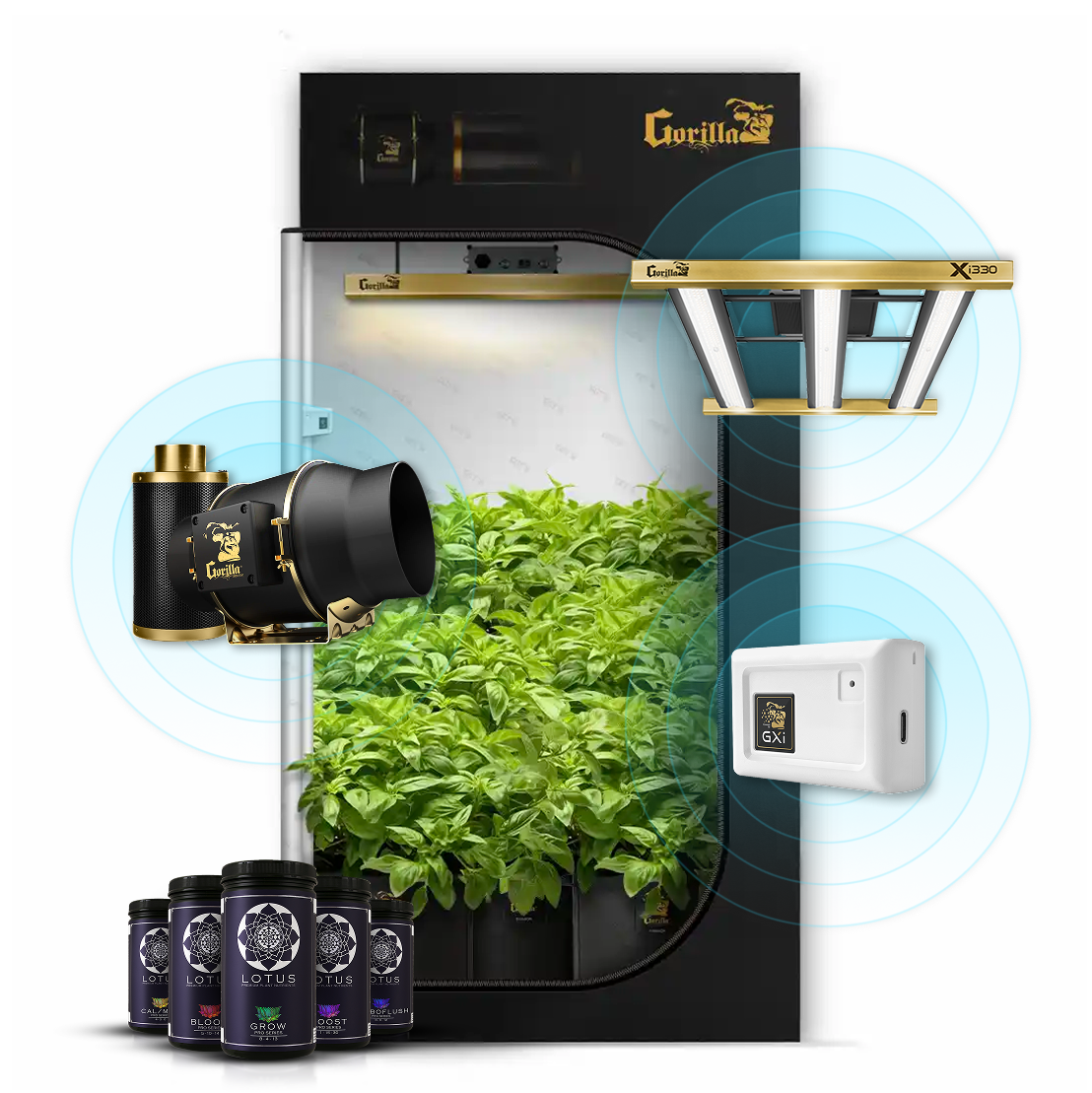 2x4 Gorilla Grow Room - SOIL